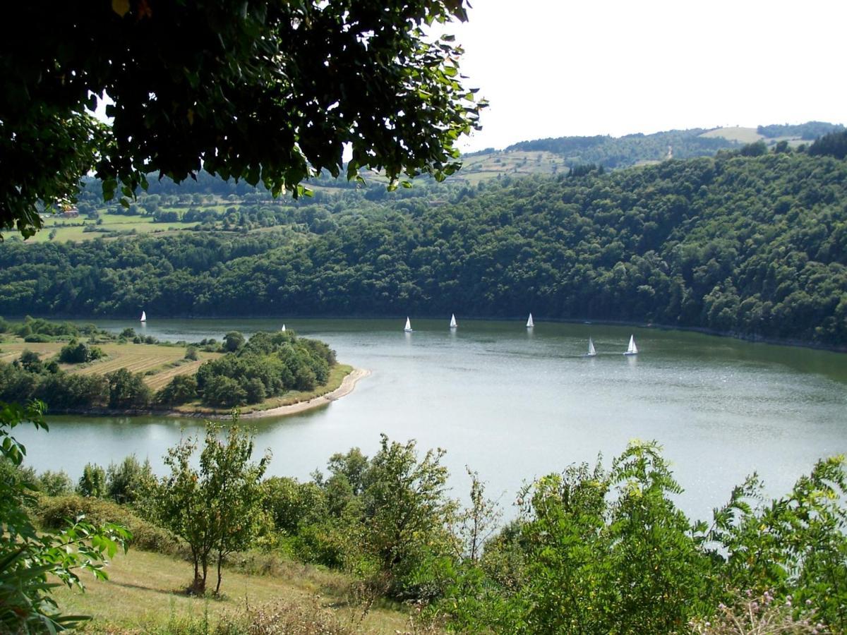 O Fil De L'Eau - Gite En Bord De Lac Saint-Jean-Saint-Maurice-sur-Loire Exterior photo